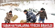 Yaban hayvanlarına yiyecek bırakıldı