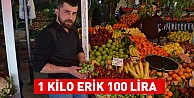 1 kilo erik 100 lira