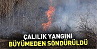 Çalılık yangını büyümeden söndürüldü