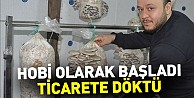 Hobi olarak başladı, ticarete döktü