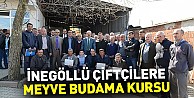 İnegöllü çiftçilere meyve budama kursu