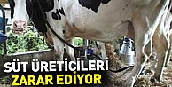 Süt üreticileri zarar ediyor