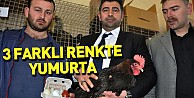 3 Farklı Renkte Yumurta