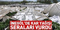 Kar Yağışı Hasada bir hafta seraları çökertti