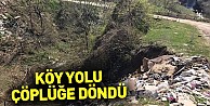 Köy yolu çöplüğe döndü