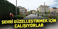 Şehri güzelleştirmek için çalışıyorlar