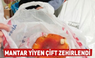 Mantar yiyen çift zehirlendi