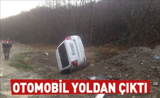 Otomobil yoldan çıktı: 2 Yaralı