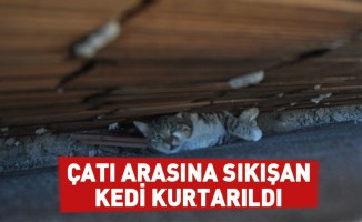 Çatı Arasına Sıkışan Kedi Kurtarıldı