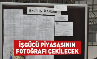 İşgücü Piyasasının Fotoğrafı Çekilecek