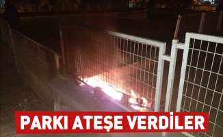 Parkı ateşe verdiler