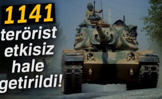 TSK: 1141 terörist etkisiz hale getirildi