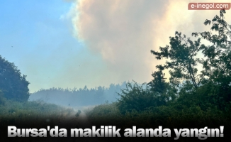 Bursa'da makilik alanda yangın!
