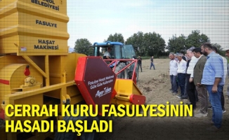 Cerrah Kuru Fasulyesinin hasadı başladı