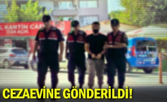 Cezaevine gönderildi!