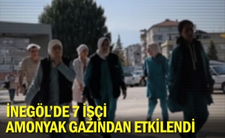 İnegöl'de 7 işçi amonyak gazından etkilendi