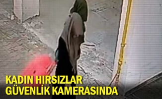 Kadın hırsızlar güvenlik kamerasında