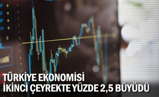 Türkiye ekonomisi ikinci çeyrekte yüzde 2,5 büyüdü