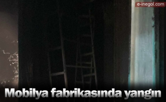 Mobilya fabrikasında yangın