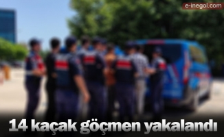 14 kaçak göçmen yakalandı