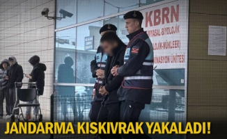 Jandarma kıskıvrak yakaladı!