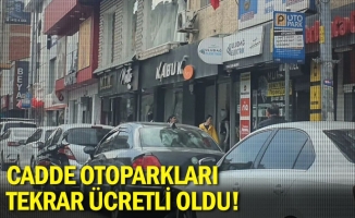 Cadde otoparkları tekrar ücretli oldu!