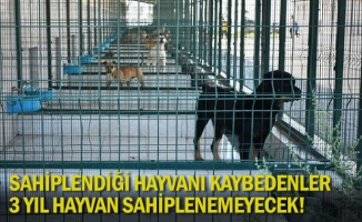 Sahiplendiği hayvanı kaybedenler 3 yıl hayvan sahiplenemeyecek!