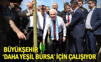 Büyükşehir, ‘Daha yeşil Bursa’ için çalışıyor