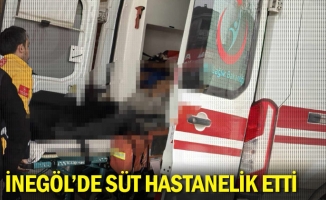 İnegöl'de Süt Hastanelik Etti