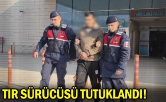 Tır sürücüsü tutuklandı