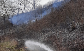 Anız yangını korkuttu