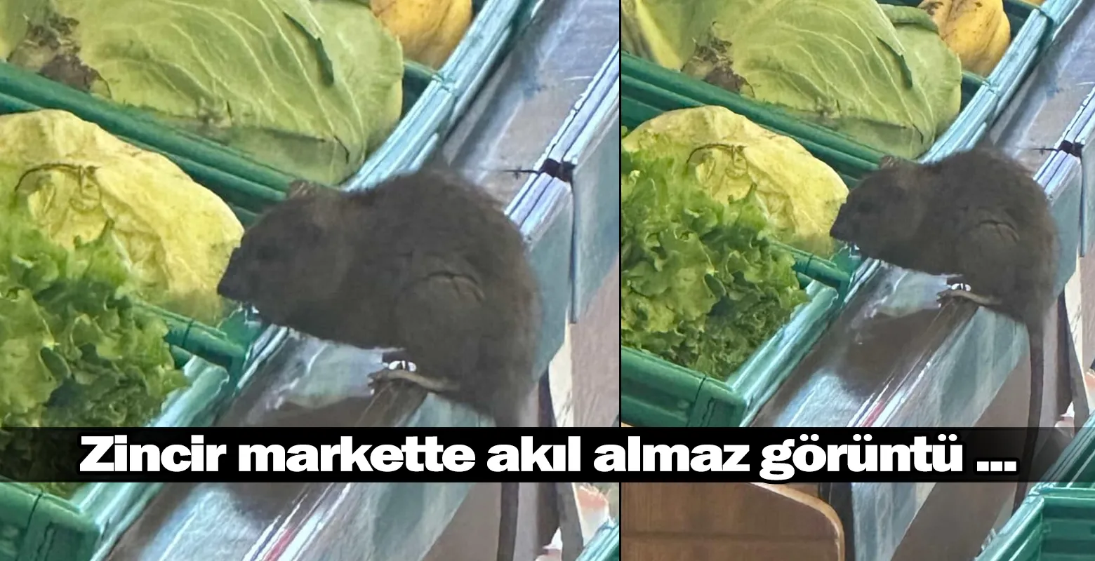 Zincir markette akıl almaz görüntü ...