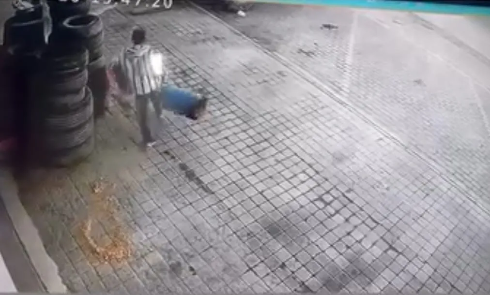 Bu da çöp kutusu hırsızı!