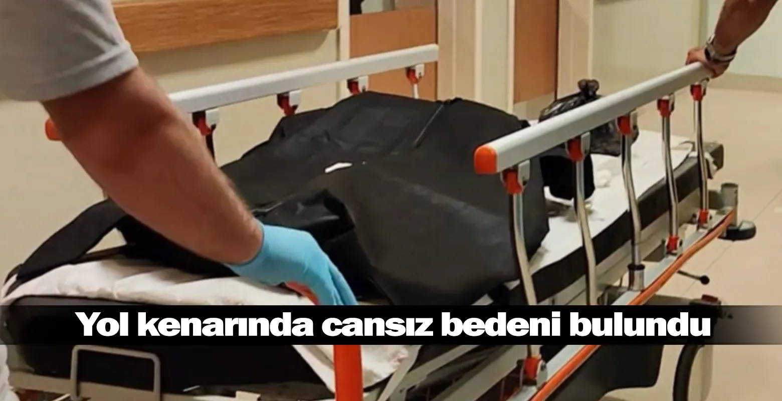 Yol kenarında cansız bedeni bulundu