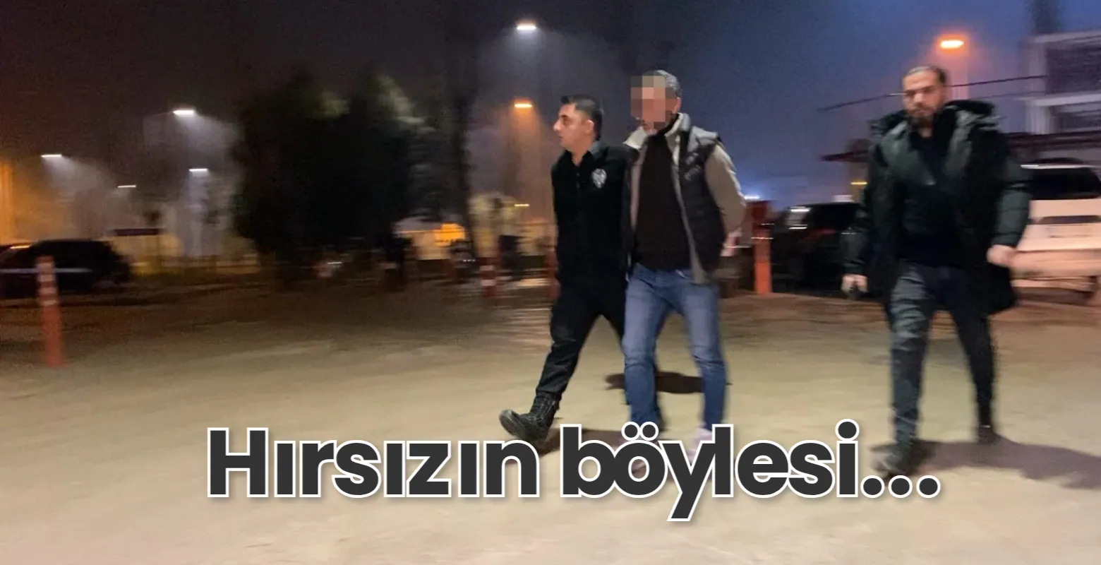 Hırsızın böylesi...