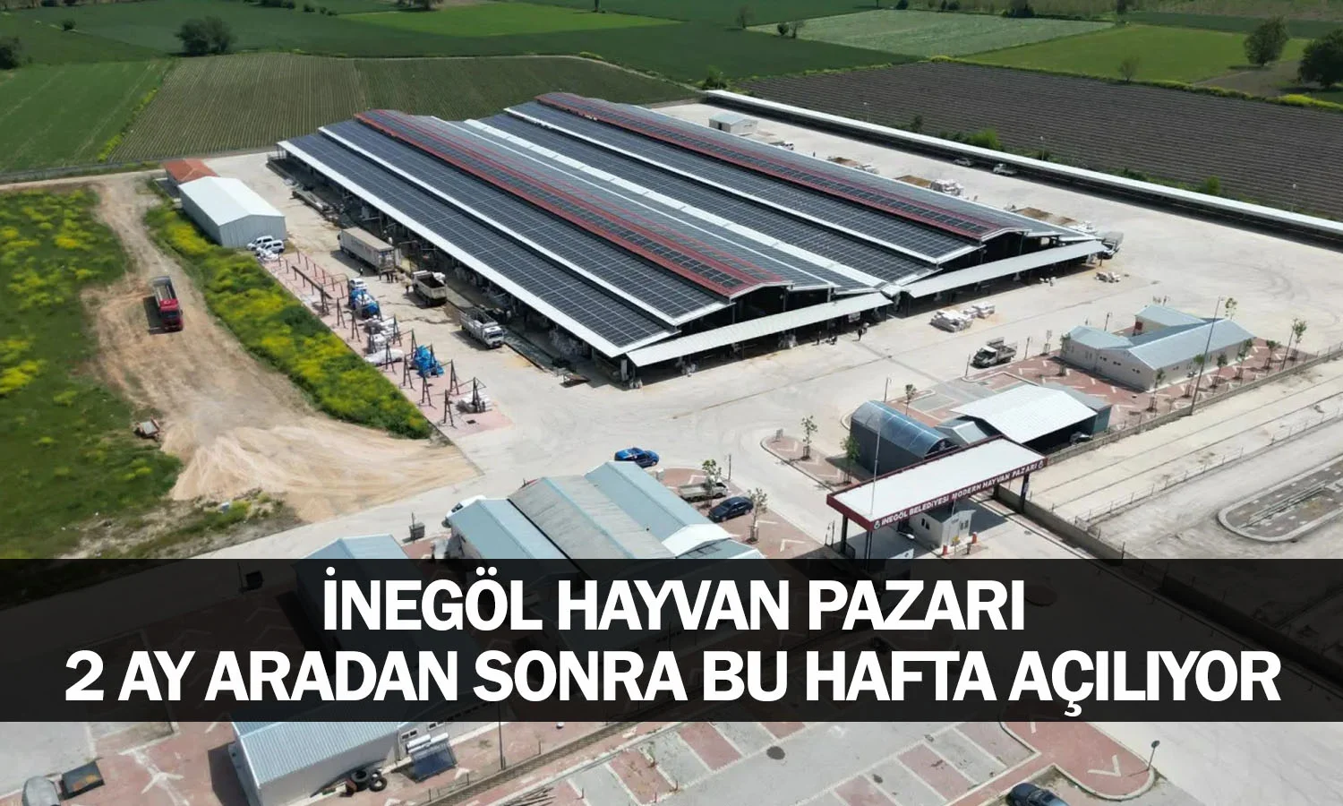 İnegöl hayvan pazarı 2 ay aradan sonra bu hafta açılıyor