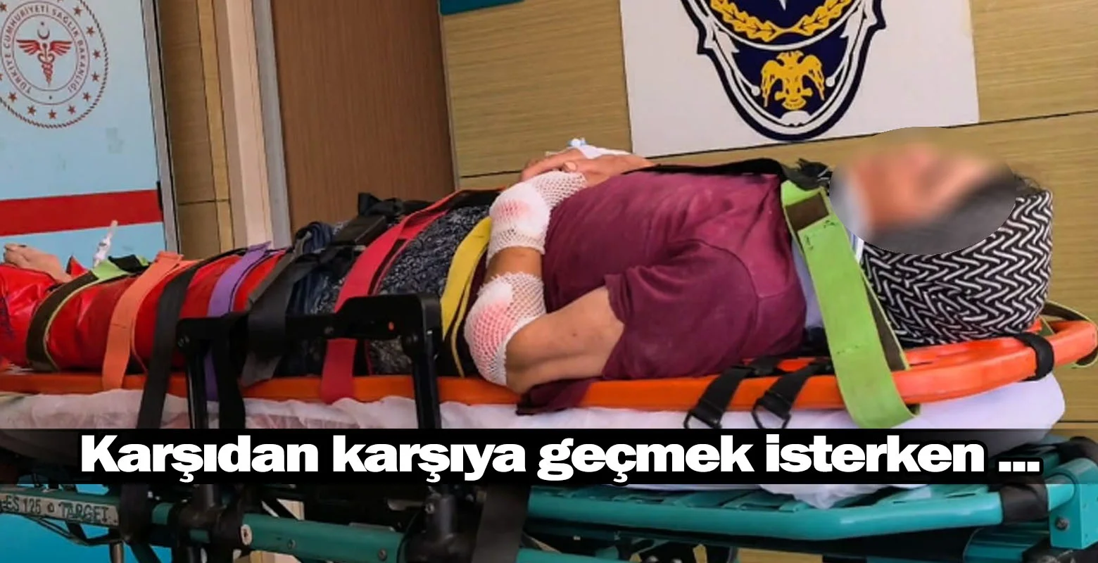 Karşıdan karşıya geçmek isterken ...