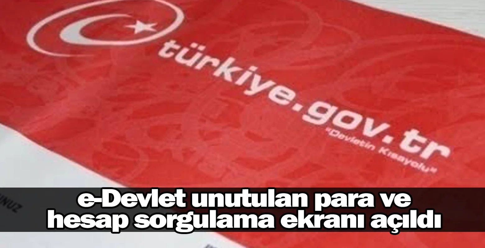 e-Devlet unutulan para ve hesap sorgulama ekranı açıldı
