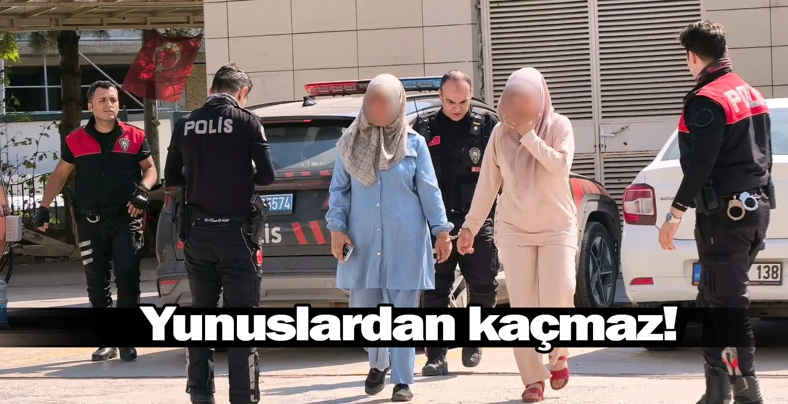 Yunuslardan kaçmaz!